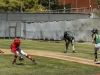 Palomar's Jake Barnett fields a bunt during the third inning against visiting Grossmont College. Barnett threw a complete game striking out 11 and allowing only 6 hits and improved his record to 7-1. The Comets beat the The Griffins 4-2 at Myers Field Friday 17 April and improved their record to 28-5 (19-2 in PCAC) and are ranked #1 in Southern California. Philip Farry / The Telescope