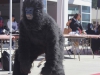 October 31, 2013 | Sir Lux dressed as a gorilla roamed around the Student Union on Halloween. • Niko Holt/Telescope