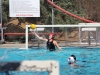 Goalie Jorden Bowe-McLeod #1, a freshman for the Comets blocks a shot from Southwestern at the Wallace Memorial Pool. Final score 16-7, Comets take the win on Sept. 10, 2014. Photo: Meredith James | The Telescope