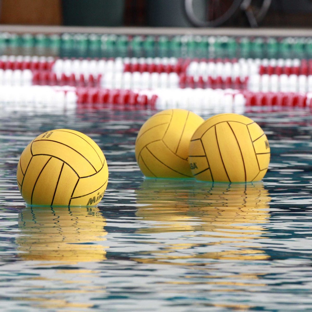 Three yellow water polo balls floating in a pool.