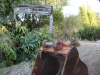 Arboretum Construction. Joe Davis/ The Telescope