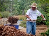 Dennis Astl, Palomar’s Manager of Construction Facilities, fills a bucket with mulch for it to be distributed in the Arboretum at the Spring 2016 Arboretum Beautification Day on April 30. Astl said, “[The Arboretum] preserves endangered plants and trees. Looking through it is like a treasure hunt. You will see plants and trees that you can’t see anywhere else in California.” Michaela Sanderson/The Telescope