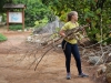 Ashley Brent, a STEM Ambassador, takes the dead clippings from a Guatemalan Orange Flowering Maple down to a pile of wood to be put through the wood chipper to be turned into mulch at the Spring 2016 Arboretum Beautification Day on April 30. Michaela Sanderson/The Telescope