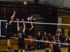 Palomar opposite hitter Chandler Matteson (6) goes up to spike the ball during the March 2 game against the Miramar College at the Dome. Palomar won 3-0. Tracy Grassel/The Telescope
