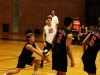 Tyler Hedley (11) pops the ball to aid Palomar in winning the second set 25-15 at the Dome March 2. Christopher Jones/The Telescope