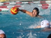 Palomar's Elijah Foli gets ready to throw the ball over #5 Bryan Murillo during the menâs water polo game at the Wallace Memorial Pool on Oct 14. Palomar played Southwestern College and the Comets won 21 to 11. Elijah contributed 2 goals in the victory. Lou Roubitchek / The Telescope