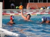 Palomar’s Cory Ward gets ready to throw the ball while goalkeeper Josue Macias, #1, Jose Ibanez, #8, and Bryan Murillo, #5, look on. during the men’s water polo game at the Wallace Memorial Pool on Oct 14. Palomar defeated Southwestern College 21 to 11. Lou Roubitchek / The Telescope