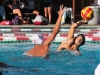 Palomarâs Mitch Lerma gets ready to throw the ball over Jose Ibanez during the menâs water polo game at the Wallace Memorial Pool on Oct. 14. Palomar defeated Southwestern 21 to 11. Lou Roubitchek / The Telescope