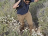 Project “P” volunteer Robert Ursua hauls supplies up Owens Peak to conduct maintenance on the “P” May 1. Philip Farry / The Telescope