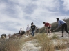 Project “P” Coordinator Lindsay Kretchman (Red Shirt) leads volunteers in the maintenance of the "P" near the top of Owens Peak May 1. Philip Farry / The Telescope