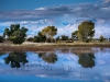 Pond just north of Bishop, Calif. Photo by Lloyd Grant Thompson