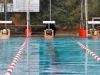 Palomar's Neal Gorman (center) gets ready to swim the men's 100-yard backstroke at the swim meet against Grossmont on April 8 at the Wallace Memorial Pool. Gorman placed first with a time of 2.07.86. Coleen burnham/The Telescope