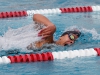 Palomar's Alice Pecoraro swims the 100-yard freestyle during the meet against Grossmont at the Wallace Memorial Pool on April 8. Pecoraro placed fourth with a time of 1.05.73. Coleen Burnham/The Telescope