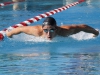 Palomar's Ryan McCauley swims the butterfly leg of the 400-yard IM event during the 2016 Waterman Festival Relays at the Wallace Memorial Pool on Feb. 6. McCauley swam a time of 4.32.13 and earned it him first place. Coleen Burnham/The Telescope