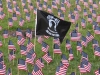 Veteran dedication flags in the Student Union quad lawn honoring those who have served during the Veteran's Day Ceremony on Nov. 10, 2015. Lou Roubitchek / The Telescope