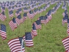 Veteran dedication flags in the Student Union quad lawn honoring those who have served during the Veteran's Day Ceremony on Nov. 10, 2015. Yvette Monteleone / The Telescope