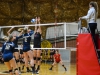 Palomar's Madi Stark #8 Goes to block the spike against visiting San Diego Mesa College at the Dome Nov. 18. Palomar lost the match 3 sets to 1. Seth Jones/The Telescope