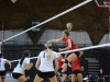 Palomar’s Bethany Prochnow (#6) spikes the ball during the third set against Mt. San Jacinto on Friday, Nov. 6, 2015 at the Dome. Palomar defeated Mt. San Jacinto three sets to one (25-14, 25-23, 22-25, 25-29). Yvette Monteleone / The Telescope