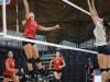 Palomar’s Kelli Iverson (#10) spikes the ball during the fourth set against Mt. San Jacinto on Friday, Nov. 6, 2015 at the Dome. Palomar defeated Mt. San Jacinto three sets to one (25-14, 25-23, 22-25, 25-29). Yvette Monteleone / The Telescope