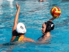 Palomar's Carley Woods (4) gets ready to throw the ball over Grossmont's Elyssa Perrins (8) from Grossmont during the women's water polo game at the Wallace Memorial Pool on Oct. 21. Palomar defeated Grossmont 11 - 10. Coleen Burnham/The Telescope