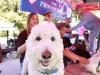 Caleb enjoys being pet by Palomar Student Meeko Moore, while hanging out at the student union quad on March 23. Palomarâs Active Minds Club held an event known as Love on a Leash, a program dedicated for people to release stress with the help of their furry little love ones. Yolanda Granados/ The Telescope