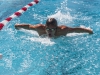 Daniel Hartl of Palomar College's men's swim team swims in the 200 Fly event against Grossmont College in the Wallace Memorial Pool March 14, 2014. Lucas Spenser/Telescope 2014.