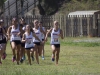 Palomar track and field
