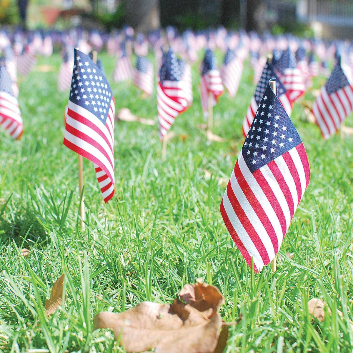 9-11 flags. (Telescope Staff/The Telescope)