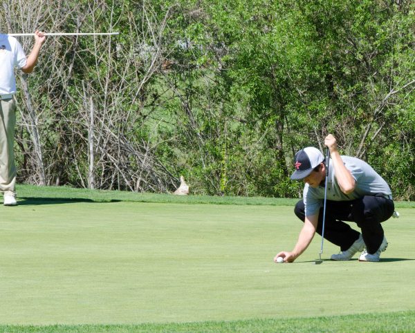 A male Palomar golfer crouches and puts a golf ball on the turf. He holds a golf club in his left hand propped up on the ground.
