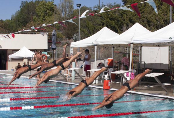 Members of the Palomar College and Grossmont College men's swim team dive into the pool to begin the 100 yard breast event March 14, 2014. (Lucas Spenser/Telescope 2014)