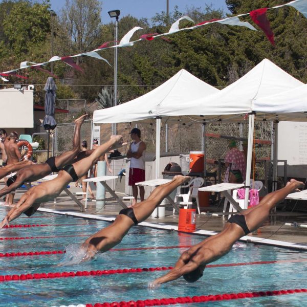 Members of the Palomar College and Grossmont College men's swim team dive into the pool to begin the 100 yard breast event March 14, 2014. (Lucas Spenser/Telescope 2014)