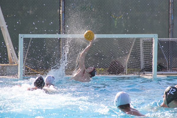 A male Palomar water polo player blocks a ball from entering the goal. Several players swim in the foreground.