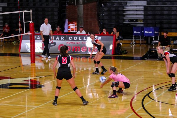 A female Palomar volleyball player squats and bumps the ball with her forearms as her three teammates around her watches. A male referee with a whistle in his mouth walks on the sidelines on the upper left.