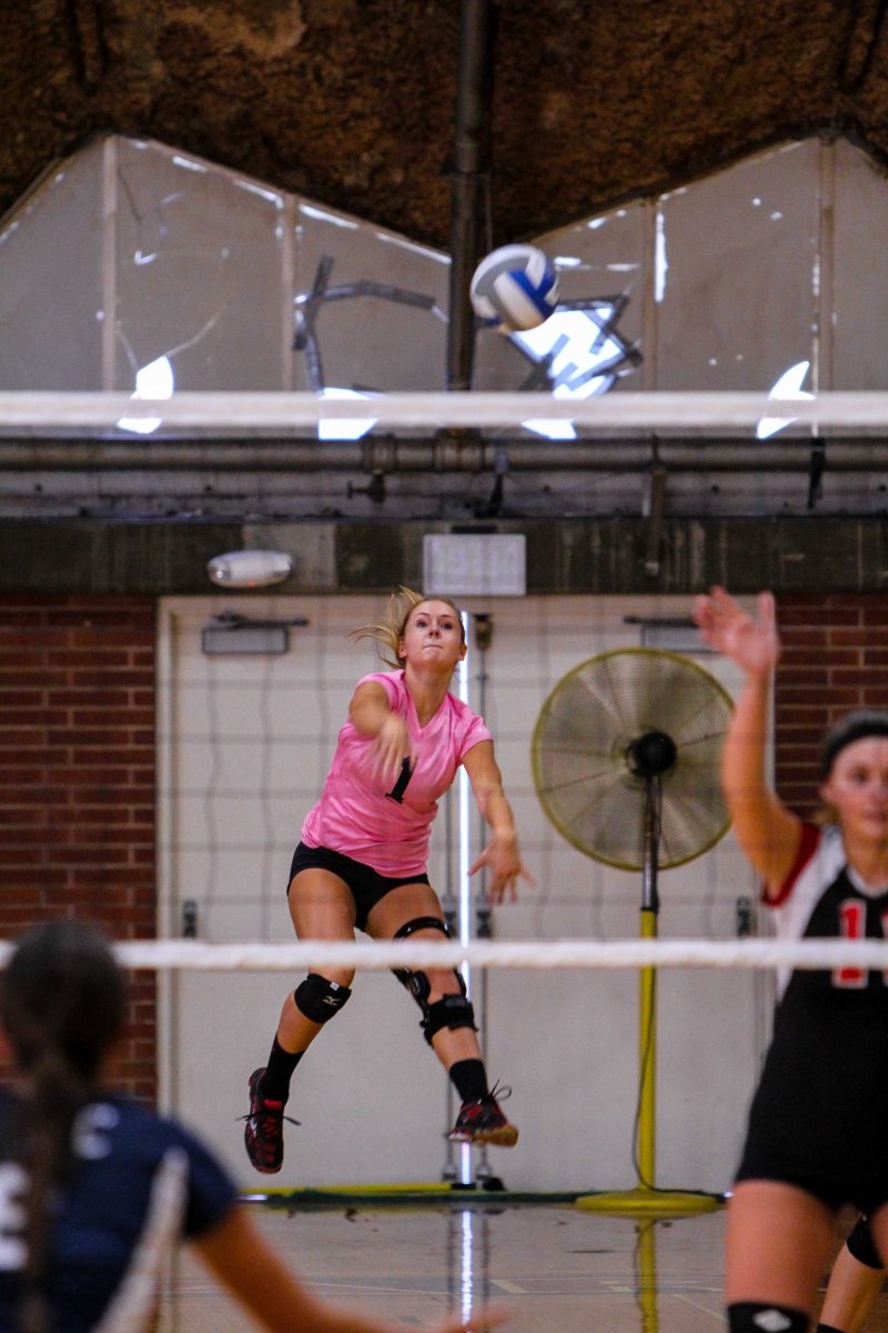 A female Palomar volleyball palyer jumps and serves the ball with her right hand. The net is in the foreground.