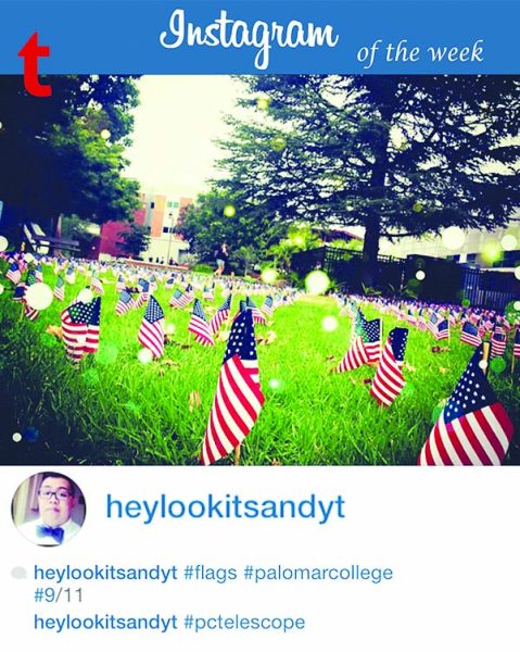 A screenshot of an Instagram post of American flags on a lawn at Palomar College. The account name below reads, "heylookitsandyt" with several hashtag tags beneath it.