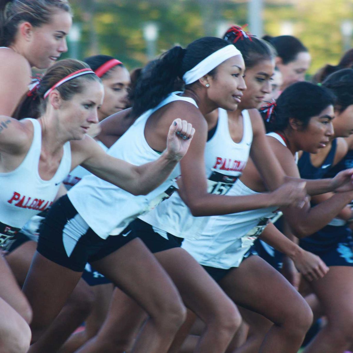 Palomar's cross country looks to stand alone at the top