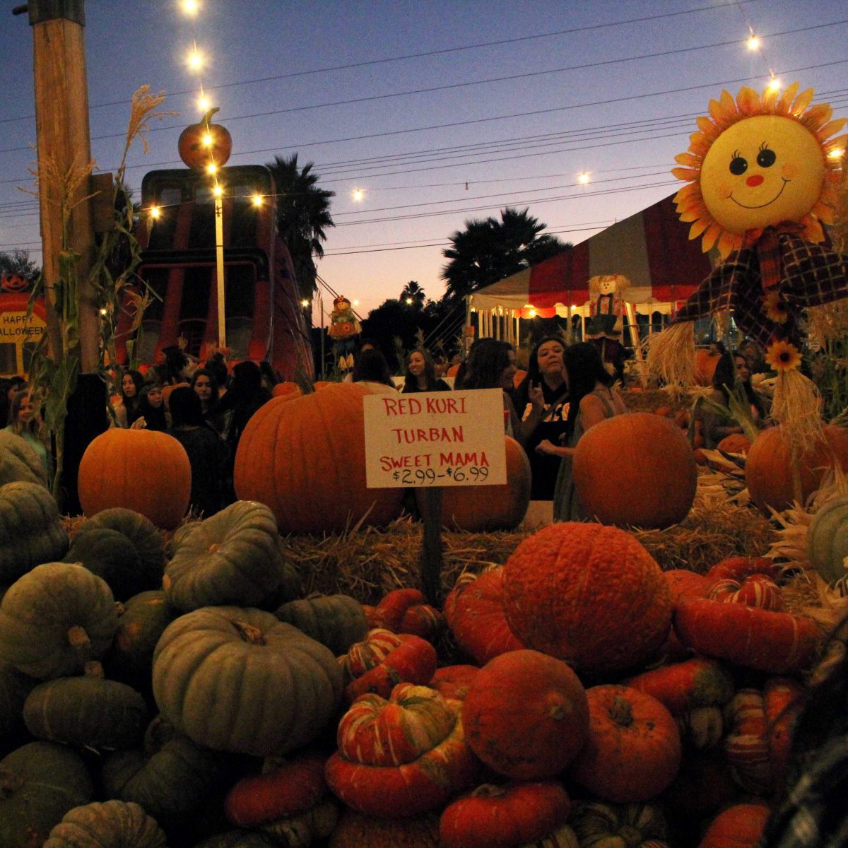 Stu Miller's pumpkin patch is crowded in San Marcos with people ready to purchase items for this years Halloween festivities. (Meredith James/The Telescope)