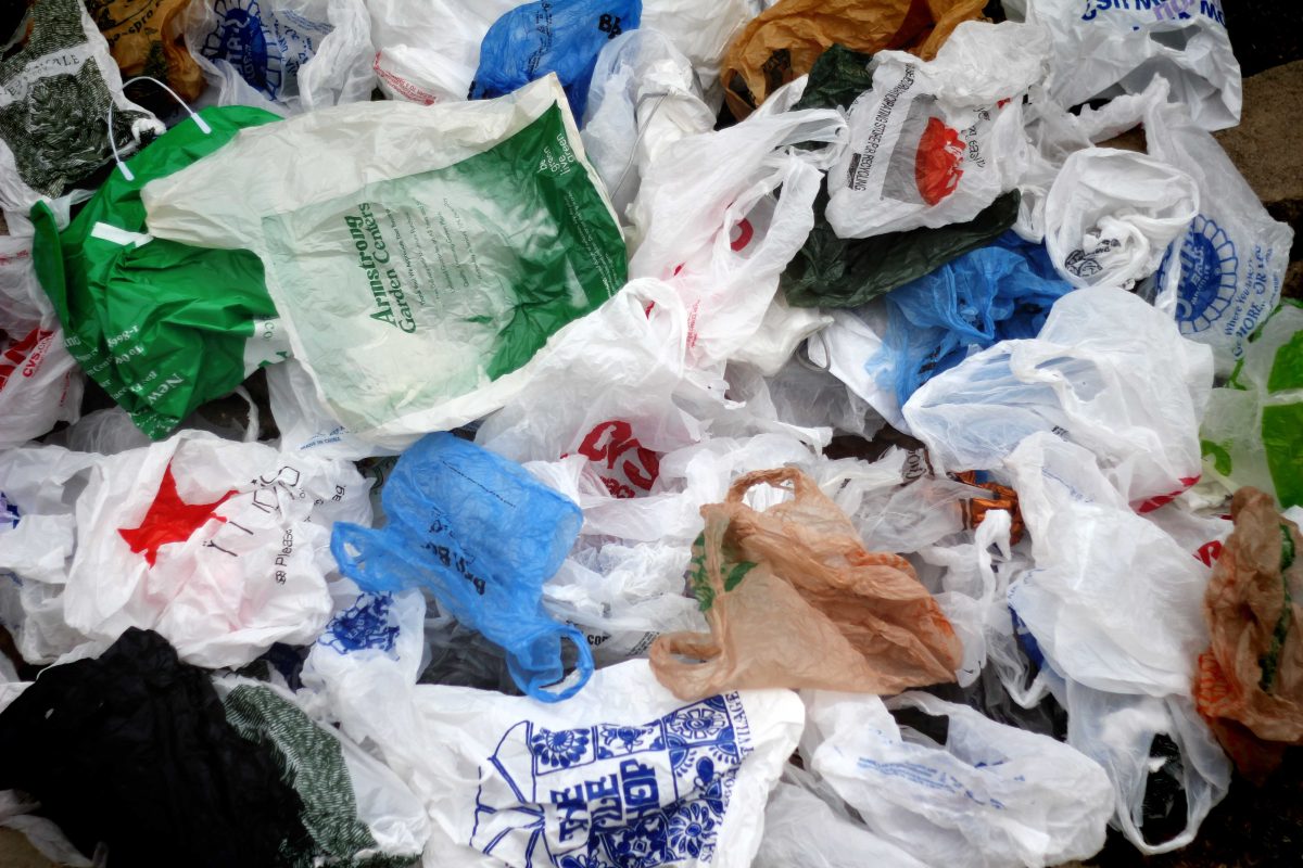 California Gov. Jerry Brown signed a statewide ban on the use of plastic bags this September, the ban will go into affect on July 1, 2015. (Brian O'Malley/The Telescope)