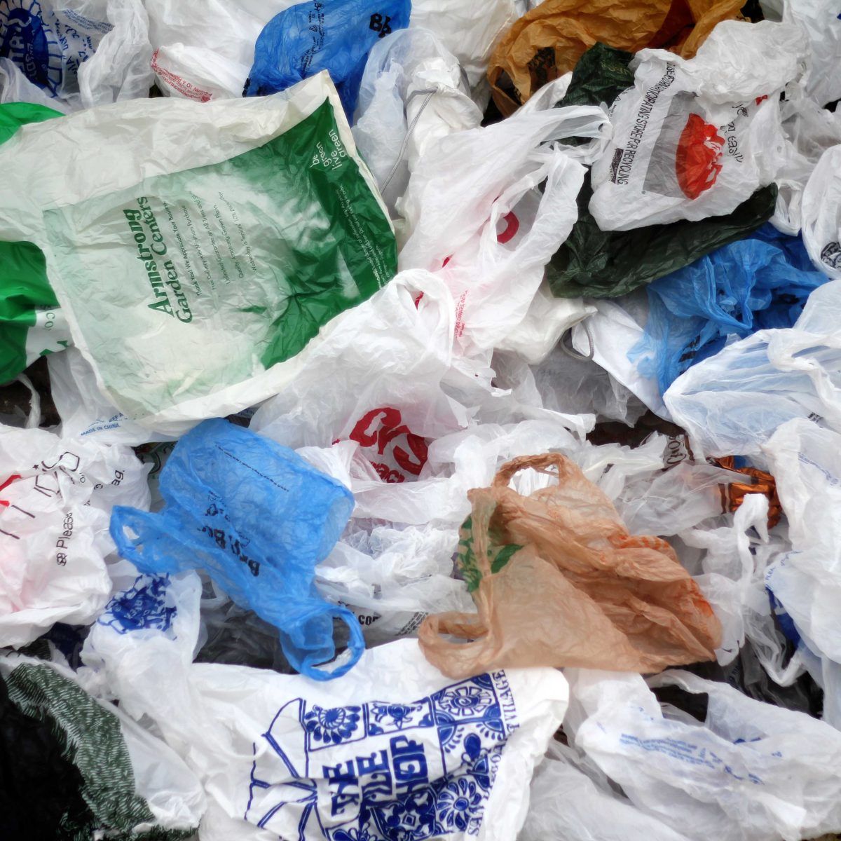 California Gov. Jerry Brown signed a statewide ban on the use of plastic bags this September, the ban will go into affect on July 1, 2015. (Brian O'Malley/The Telescope)