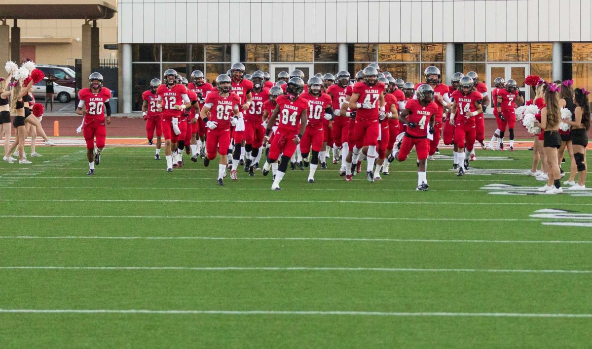 A team of Palomar football players runs out to a football field, wearing red uniforms as cheerleaders wave their pompoms and cheer from both sides.