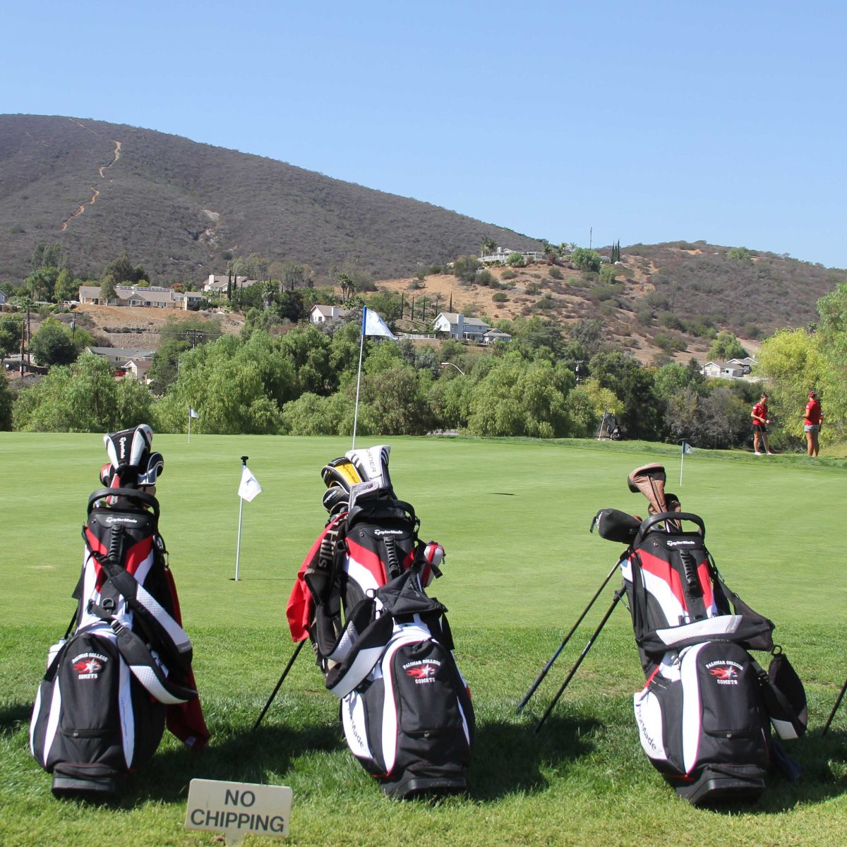 Three golf bags full of golf clubs rest on a golf course. A small sign says "NO CHIPPING" is on the ground in the foreground.