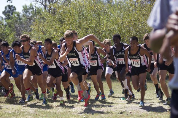 Palomar College Cross Country Invitational at Guajome Park. Palomar College men cross country runners show their determination as the cross country race starts at Guajome park. (Philip Farry/The Telescope)
