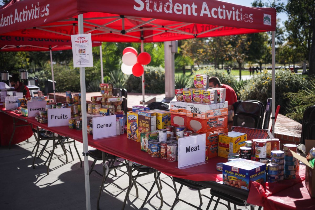 'Stock the Bank!' is held at Palomar's SU Quad. Piles of food items and money donations were collected by the Student Affairs between 10 a.m. and 1 p.m. on Nov. 20, 2014. (Yoshikazu Yamashita/The Telescope)