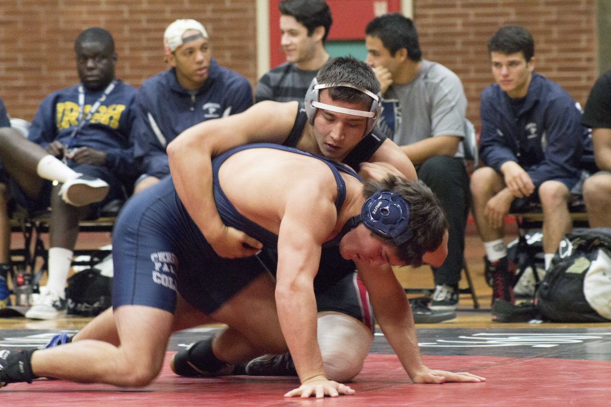 Nov. 5, 2014, Palomar College San Marcos, Calif. Alex Graves on the mat with opponent Cerritos College Falcon Max Kumashiro. Graves wins the match - Palomar 7, Cerritos 3. (Paul Nelson/The Telescope)