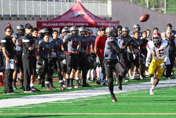 A Palomar football player catches a football with both hands as he runs as an opposing player runs behind him. A team of Palomar players and coaches stand on the sidelines to the left.