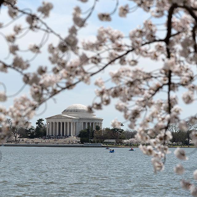 The Jefferson Memorial sits across from a bay with cherry blossoms in the upper foreground.