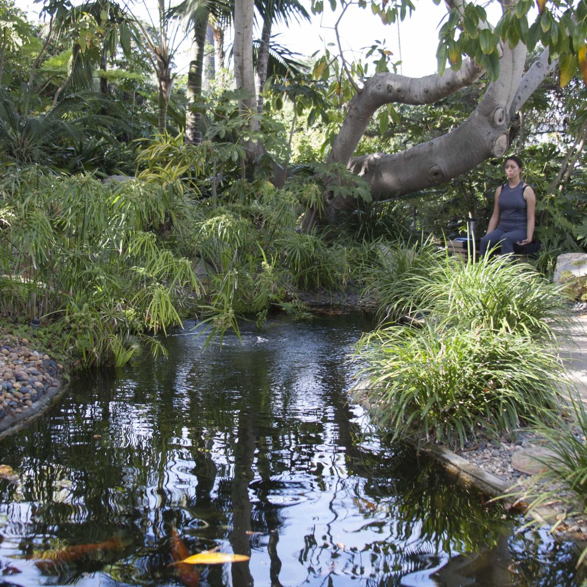 The Self-Realization Fellowship Hermitage and Meditation Gardens provide a space where people can meditate or just enjoy the serenity of the grounds, as in this photo taken in Mid-March at the Gardens in Encinitas. (Claudia Rodriguez/The Telescope)