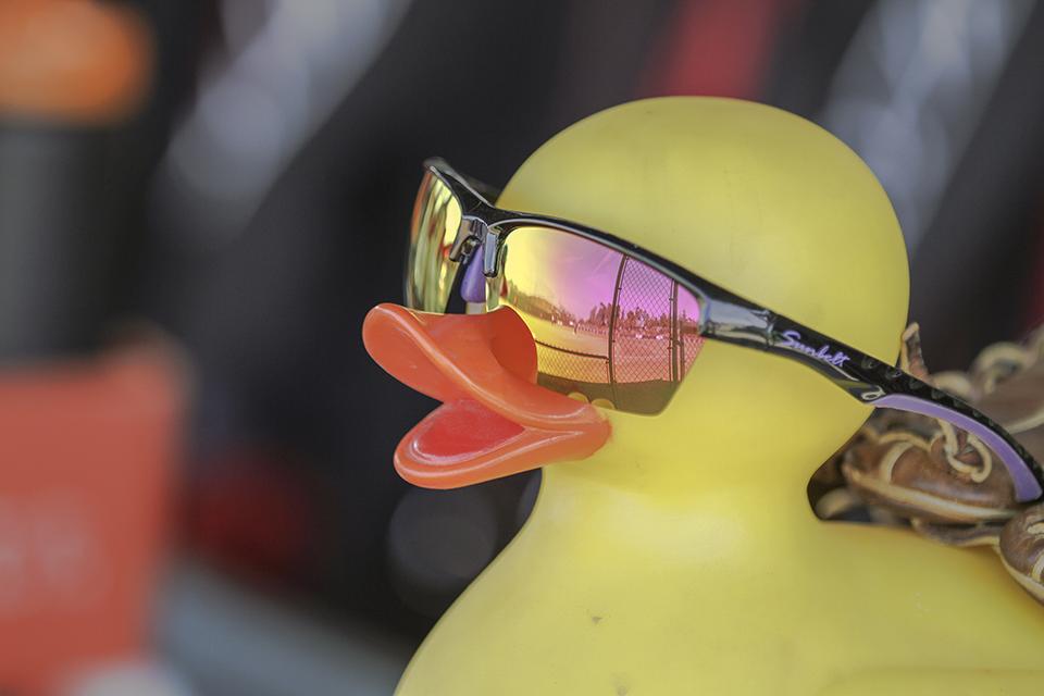 Spike, Palomar Women's Softball team good luck charm, watches the Comets game during the second inning on April 3, 2015. The Comets beat the Eagles 9-1 and improved their record to 23-1-1 (13-0 PCAC). (Philip Farry/The Telescope)