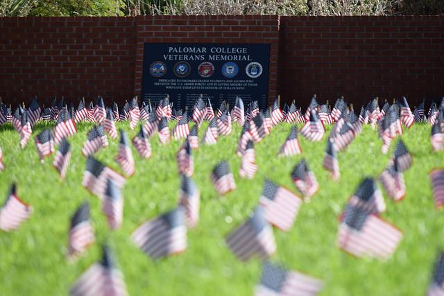 Flags at the 9/11 remembrance near the Veterans Memorial. (Michelle Wilkinson/The Telescope)