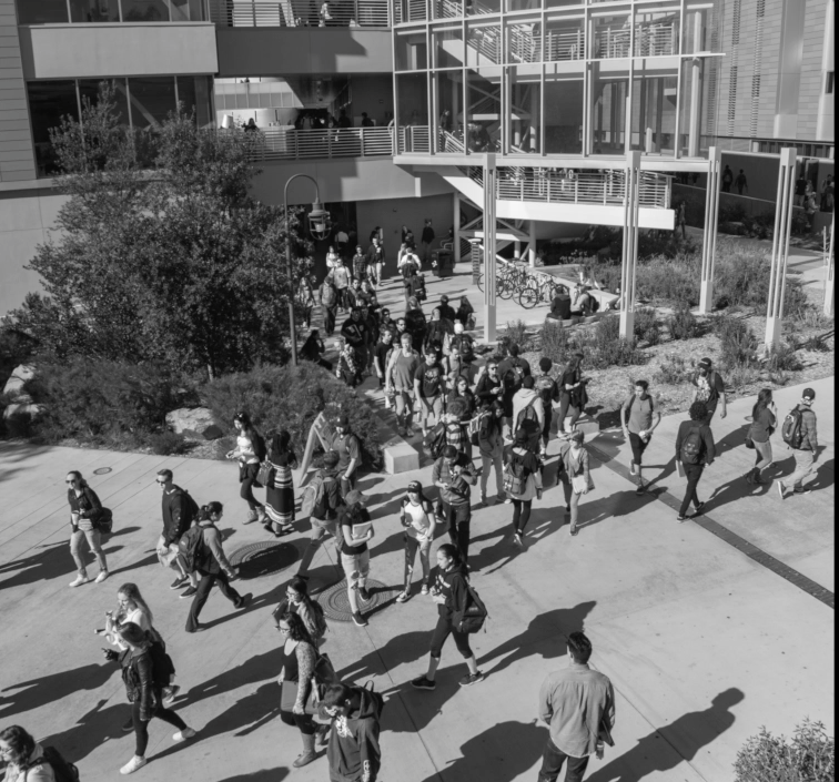 Palomar students between classes the first week of Spring 2016 classes. (Niko Holt/The Telescope)